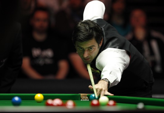 动的宠儿 动的宠儿