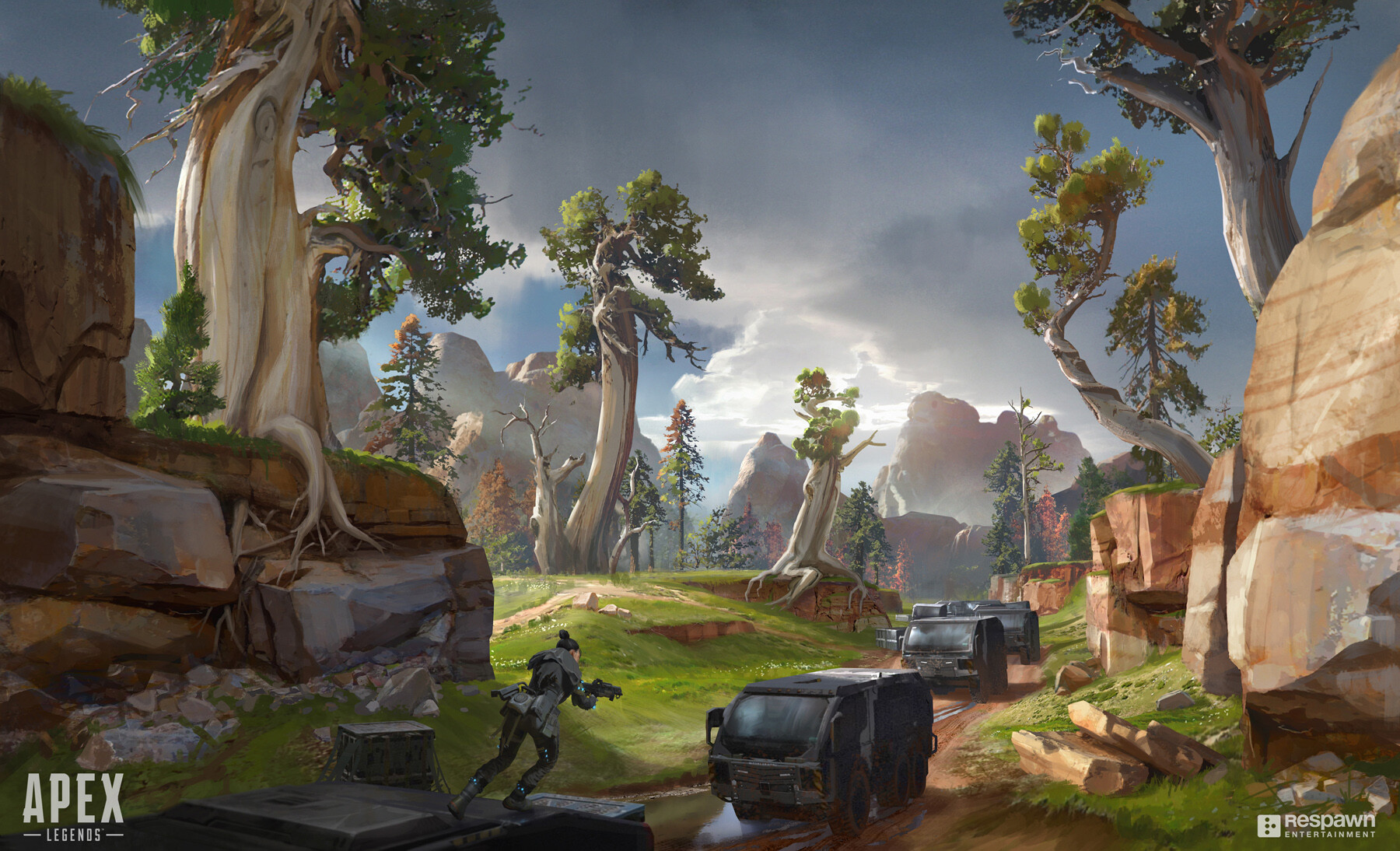 轻球员有机 轻球员有机