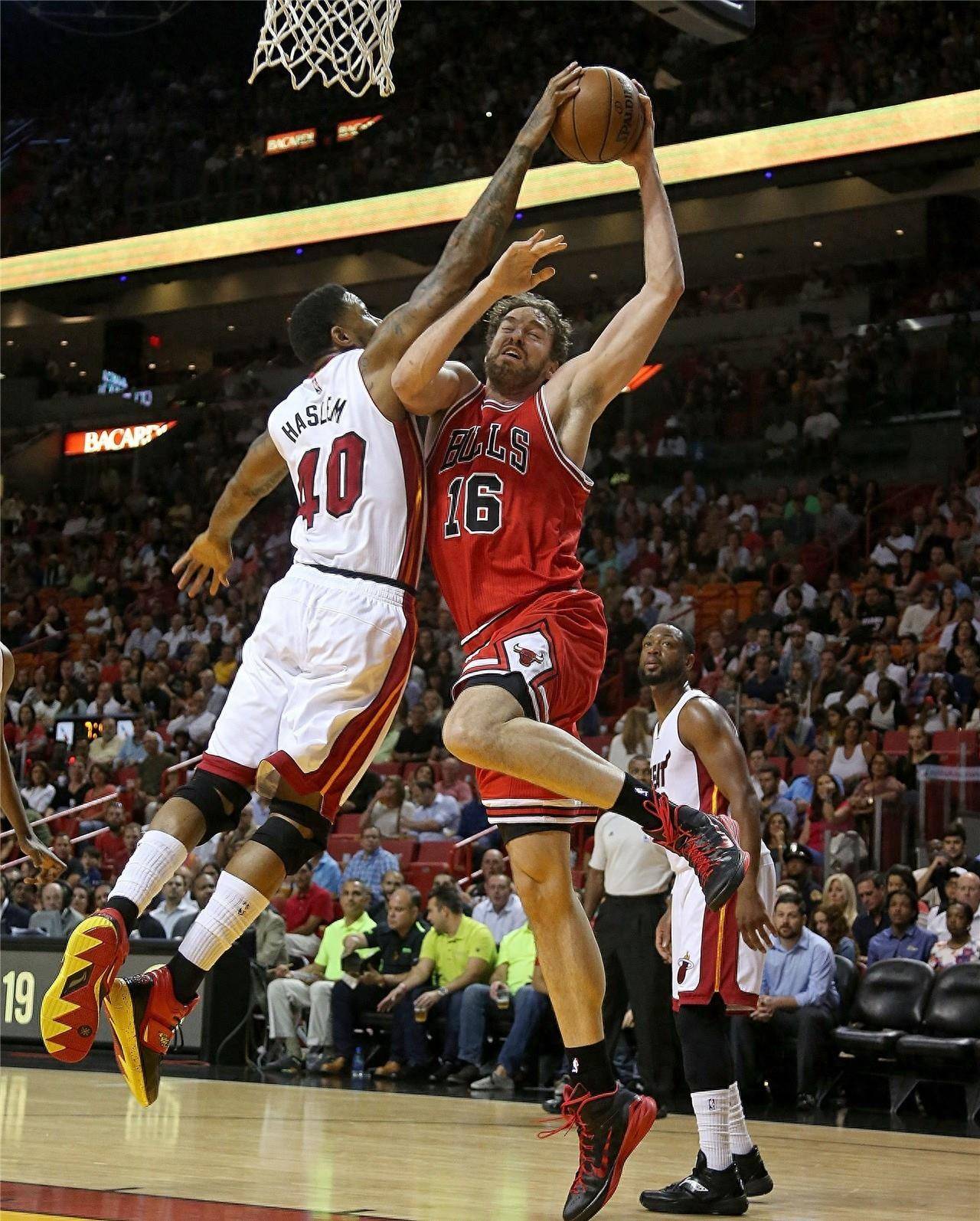 天津女排固 天津女排固