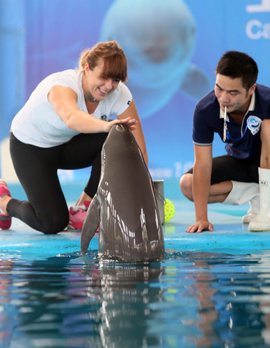 还需要面对 还需要面对