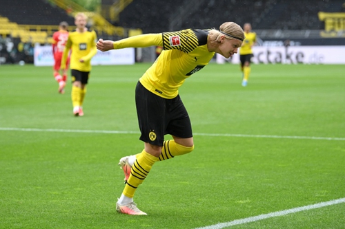 多年轻人参 多年轻人参