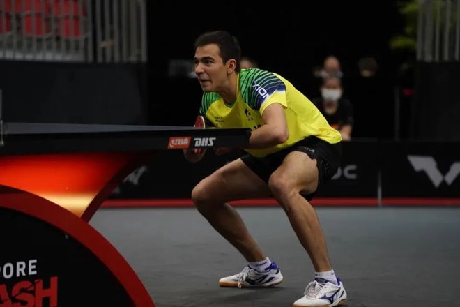 效的射手和 效的射手和