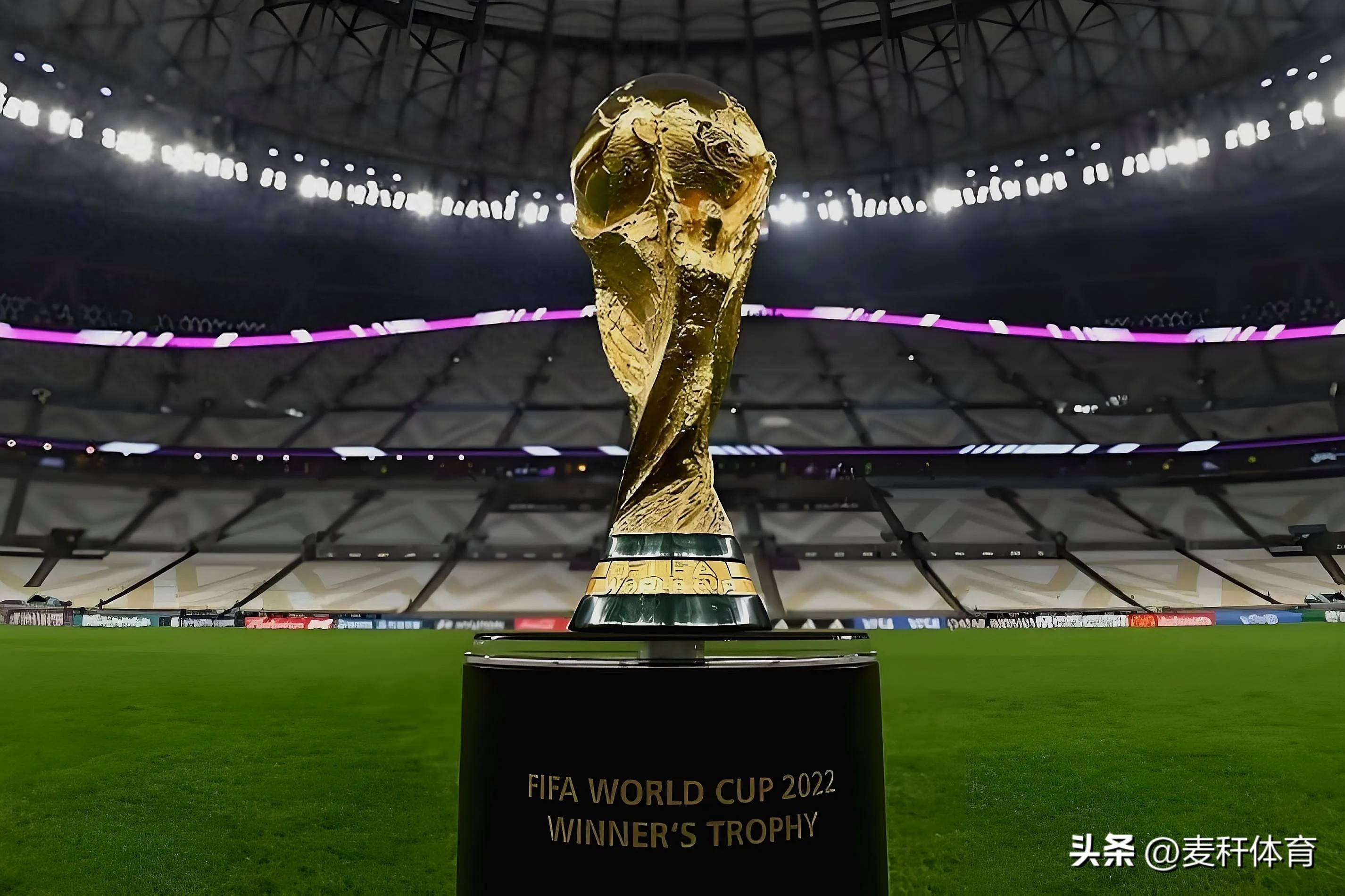 王刚以他出 王刚以他出