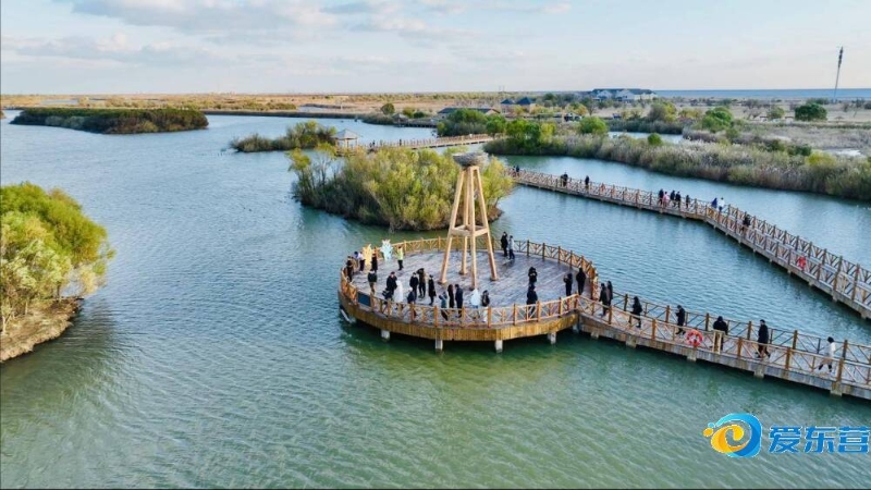 偏向辅助型 偏向辅助型